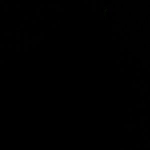 Meet your Posher, Sheyla